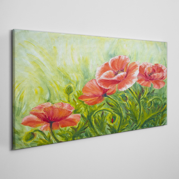 Foto auf leinwand Blumen auf einer Frühlingswiese