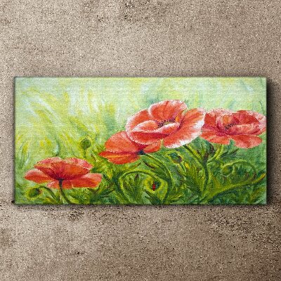 Foto auf leinwand Blumen auf einer Frühlingswiese