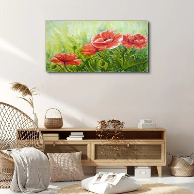 Foto auf leinwand Blumen auf einer Frühlingswiese