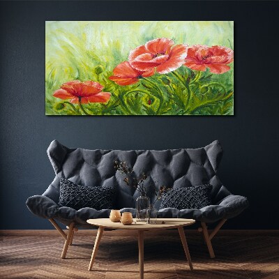 Foto auf leinwand Blumen auf einer Frühlingswiese
