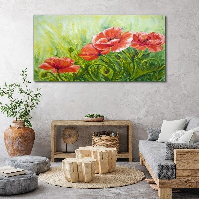 Foto auf leinwand Blumen auf einer Frühlingswiese