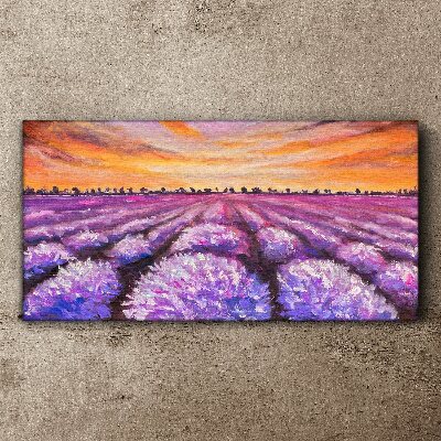 Foto auf leinwand Lila Lavendelfelder bei Sonnenuntergang