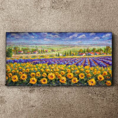Wandbild Blumenlandschaft im Sonnenlicht