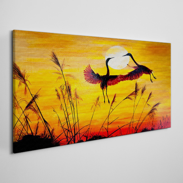 Foto auf leinwand Tanzende Kraniche bei Sonnenuntergang