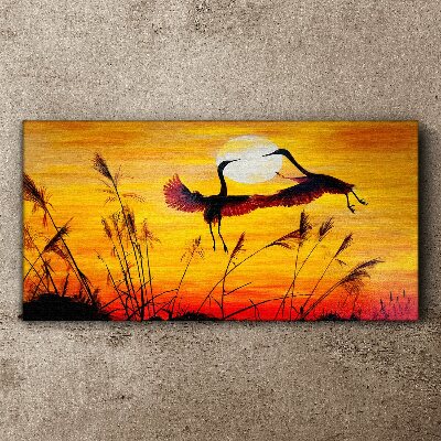Foto auf leinwand Tanzende Kraniche bei Sonnenuntergang