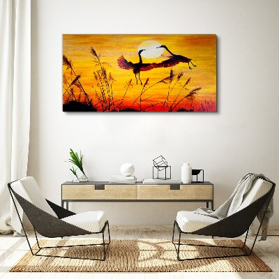 Foto auf leinwand Tanzende Kraniche bei Sonnenuntergang