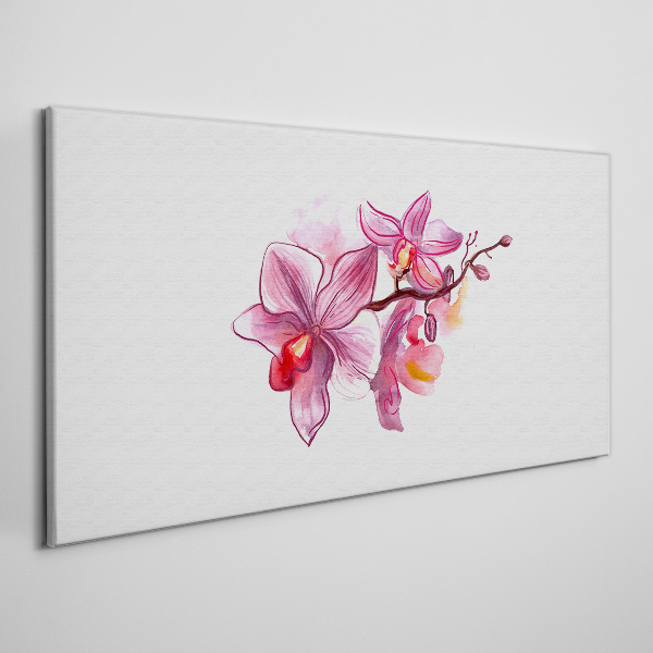 Foto auf leinwand Rosa Orchideen auf weißem Hintergrund