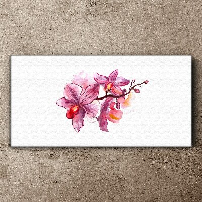 Foto auf leinwand Rosa Orchideen auf weißem Hintergrund