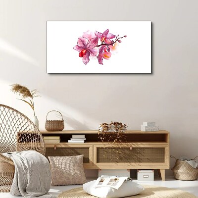 Foto auf leinwand Rosa Orchideen auf weißem Hintergrund