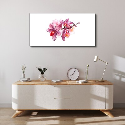 Foto auf leinwand Rosa Orchideen auf weißem Hintergrund