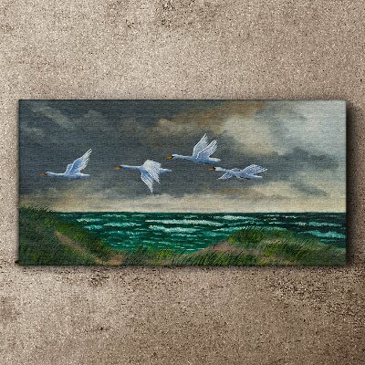 Bild auf leinwand Flug der Schwäne über dem Meer