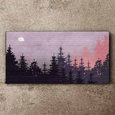 Foto leinwand Sonnenuntergang im Wald