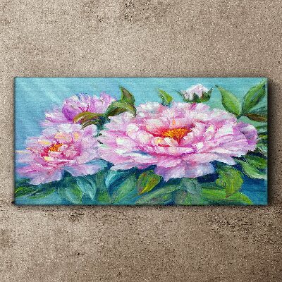 Bild auf leinwand Rosa Pfingstrosen auf blauem Hintergrund
