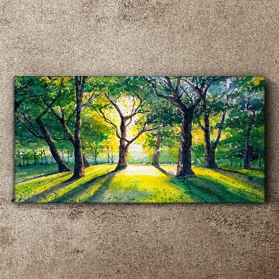 Foto leinwand Goldene Strahlen im Waldhain