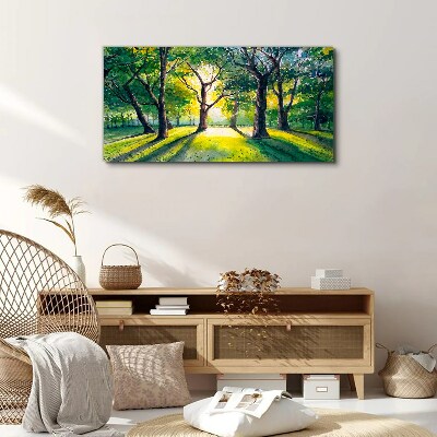 Foto leinwand Goldene Strahlen im Waldhain
