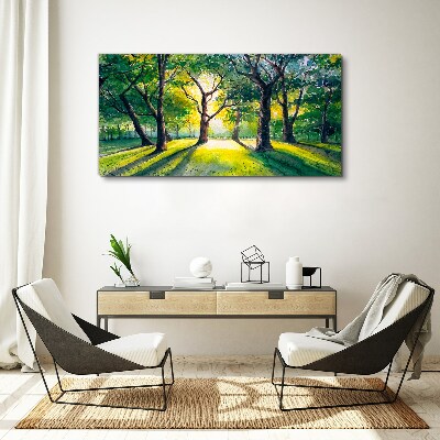 Foto leinwand Goldene Strahlen im Waldhain