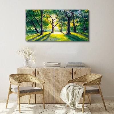 Foto leinwand Goldene Strahlen im Waldhain