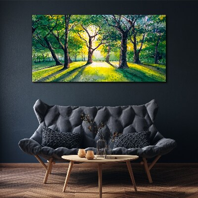 Foto leinwand Goldene Strahlen im Waldhain