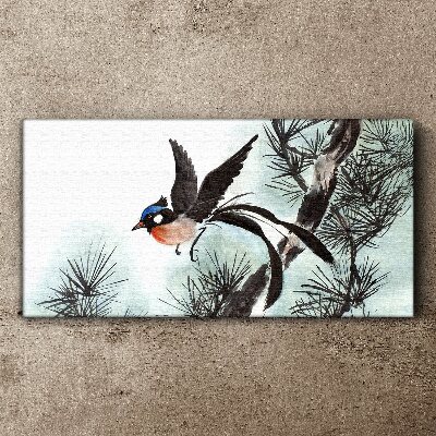 Foto auf leinwand Ein Vogel im Flug über den Kiefern