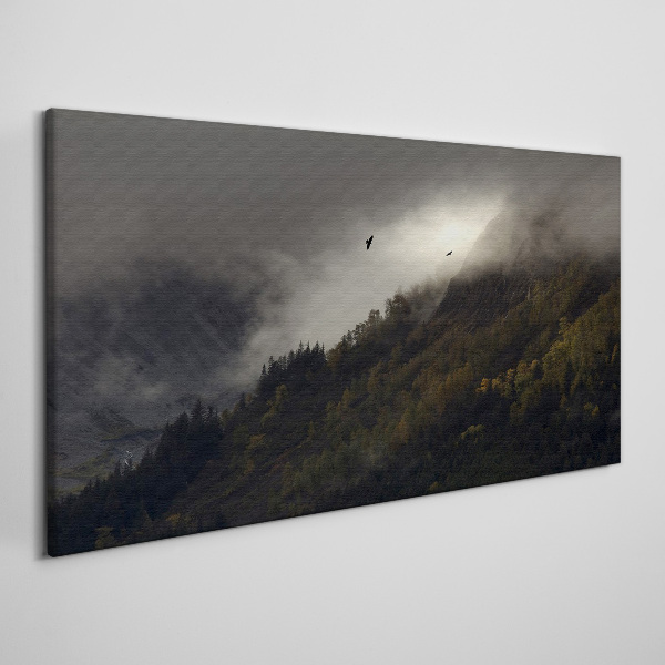 Foto auf leinwand Nebliges Bergpanorama mit Vögeln
