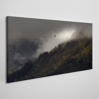 Foto auf leinwand Nebliges Bergpanorama mit Vögeln