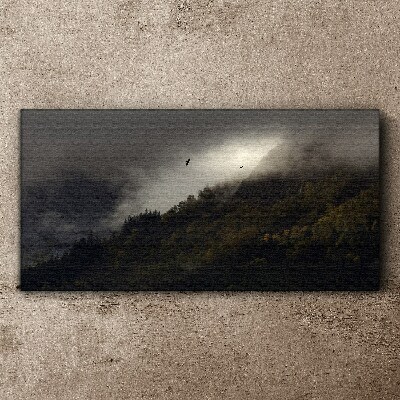 Foto auf leinwand Nebliges Bergpanorama mit Vögeln