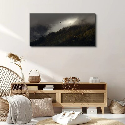 Foto auf leinwand Nebliges Bergpanorama mit Vögeln