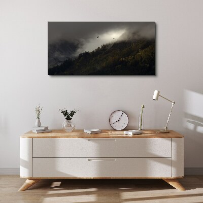 Foto auf leinwand Nebliges Bergpanorama mit Vögeln