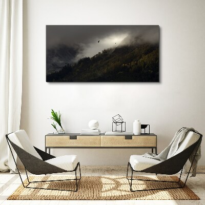 Foto auf leinwand Nebliges Bergpanorama mit Vögeln