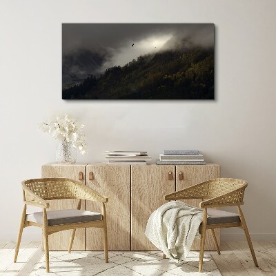 Foto auf leinwand Nebliges Bergpanorama mit Vögeln