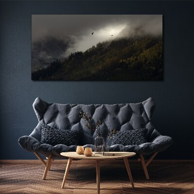 Foto auf leinwand Nebliges Bergpanorama mit Vögeln