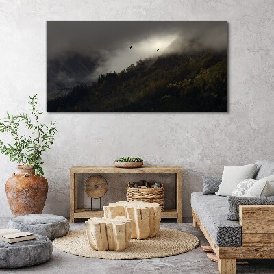 Foto auf leinwand Nebliges Bergpanorama mit Vögeln