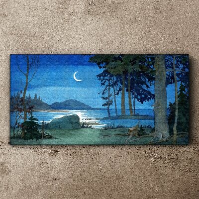 Foto auf leinwand Nachtlandschaft über dem Wasser