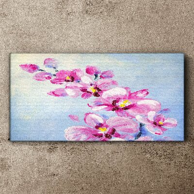 Foto auf leinwand Rosa Orchideen auf blauem Hintergrund