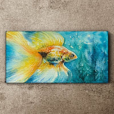 Foto auf leinwand Goldfische in gefärbtem Wasser