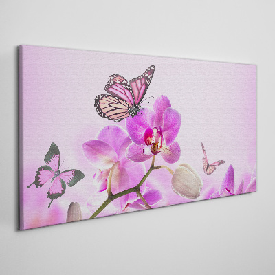 Bild auf leinwand Blumen Natur Schmetterling