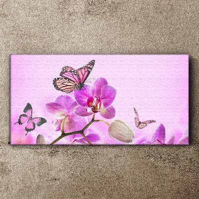 Bild auf leinwand Blumen Natur Schmetterling