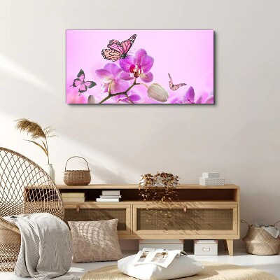 Bild auf leinwand Blumen Natur Schmetterling