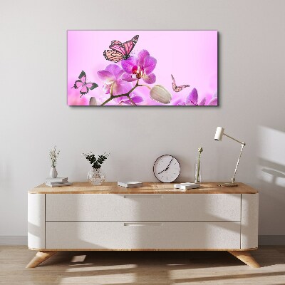 Bild auf leinwand Blumen Natur Schmetterling