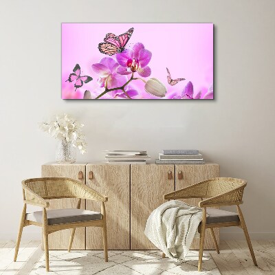 Bild auf leinwand Blumen Natur Schmetterling