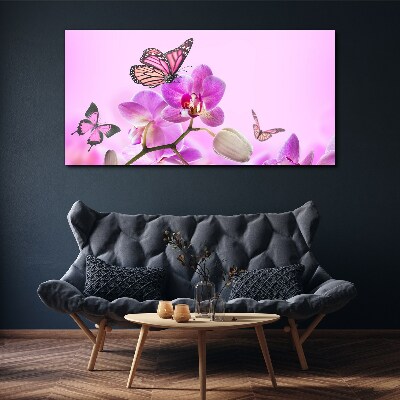 Bild auf leinwand Blumen Natur Schmetterling