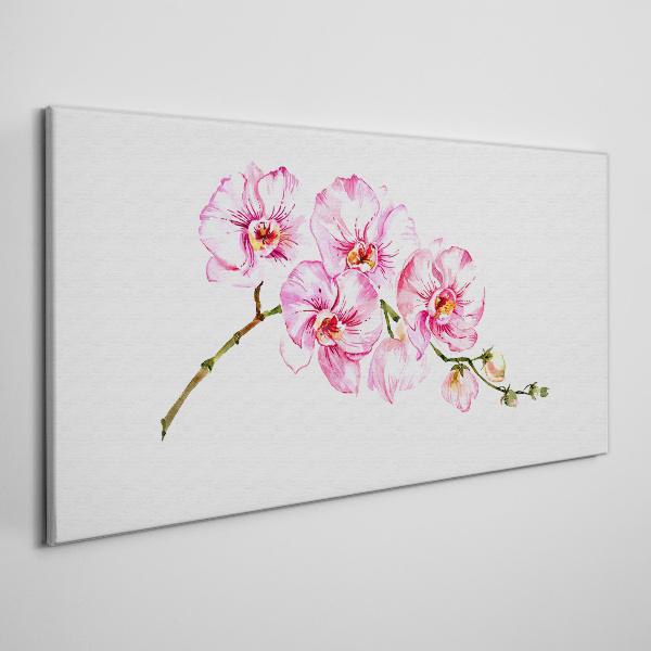 Leinwandbild Rosa Orchideen auf weißem Hintergrund