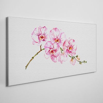 Leinwandbild Rosa Orchideen auf weißem Hintergrund