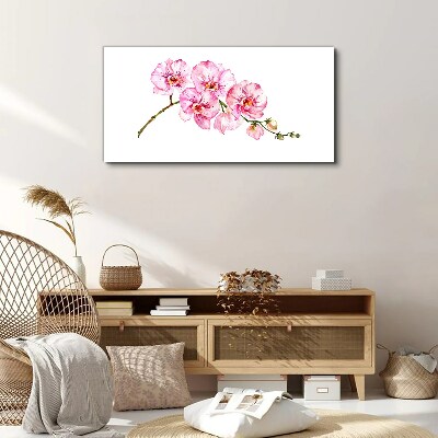 Leinwandbild Rosa Orchideen auf weißem Hintergrund
