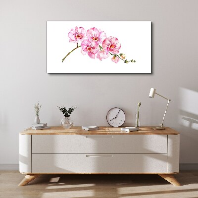 Leinwandbild Rosa Orchideen auf weißem Hintergrund