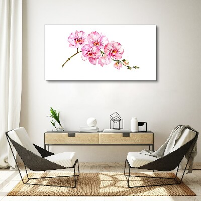 Leinwandbild Rosa Orchideen auf weißem Hintergrund