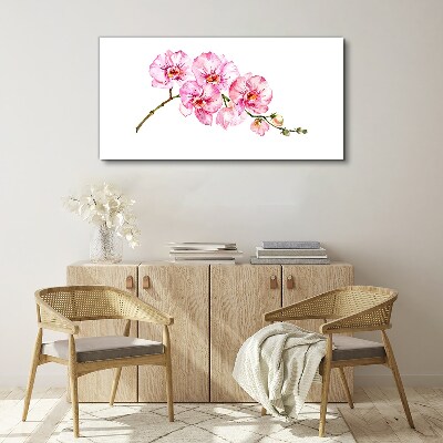 Leinwandbild Rosa Orchideen auf weißem Hintergrund