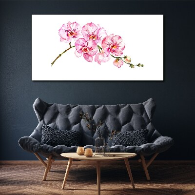 Leinwandbild Rosa Orchideen auf weißem Hintergrund