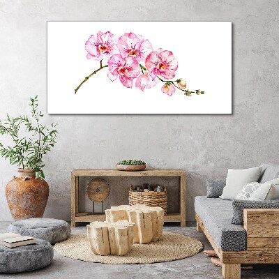 Leinwandbild Rosa Orchideen auf weißem Hintergrund