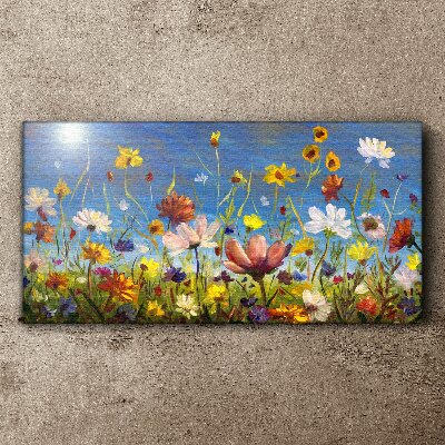 Bild auf leinwand Blumenlandschaft an einem sonnigen Tag